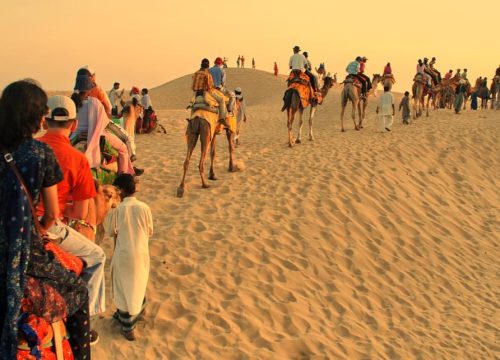 Dubai Camel Riding Tours