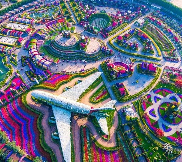 Miracle Garden