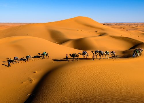 Evening Desert Safari