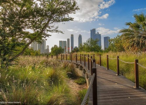 Al Noor Island Self-Guided Tour (Sharjah)